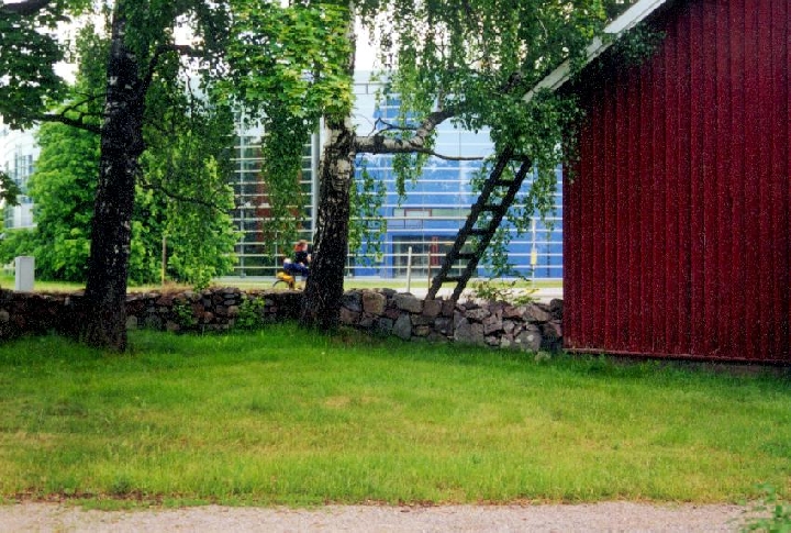 Viiki06 