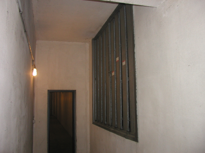 P8240244 