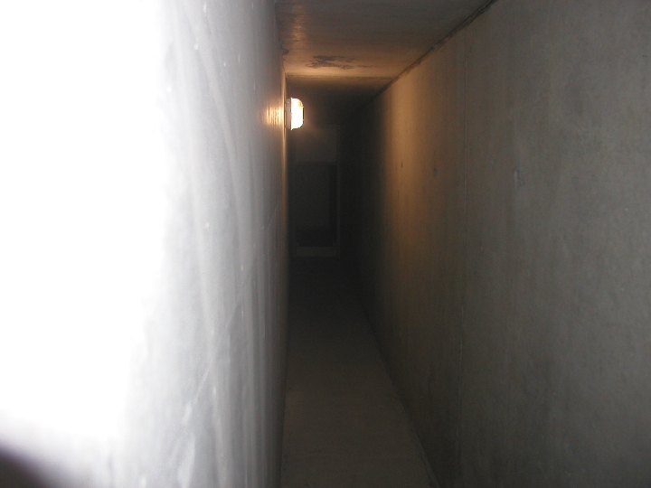 P8240284 