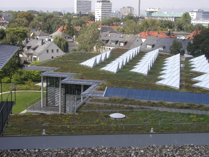 P8240338 