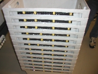 P8240233 