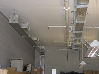 P8240234 