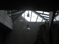 P8240238 