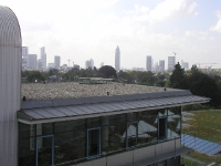 P8240334 