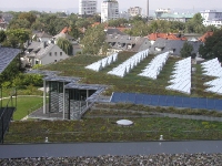 P8240338