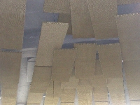 P6300071 