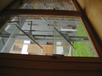 P6300086 