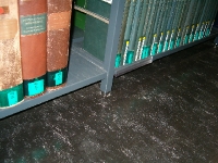 HPIM0941 