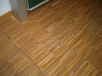 HPIM0959 