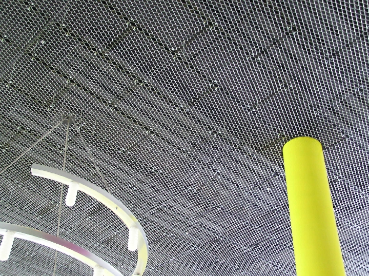 P1010109 
