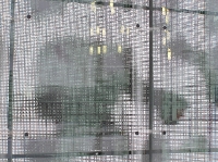 P1010084 