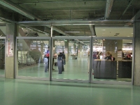 P1010036 